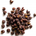 Pimenta Timur