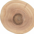 Clearwood®