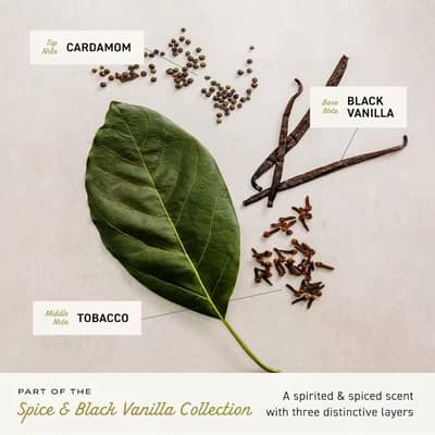 Abrir em tela cheia: Cremo Spice & Black Vanilla - adicional Cremo Spice & Black Vanilla - adicional