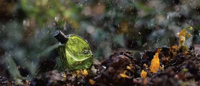 Abrir em tela cheia: Natura Ryo Chuva - adicional Natura Ryo Chuva - adicional