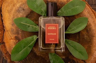 Abrir em tela cheia: Phebo Santalum - adicional Phebo Santalum - adicional