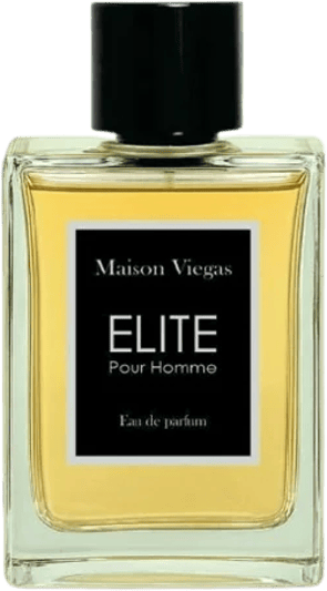Abrir em tela cheia: Maison Viegas Elite Pour Homme Maison Viegas Elite Pour Homme