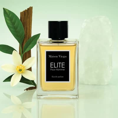 Abrir em tela cheia: Maison Viegas Elite Pour Homme - adicional Maison Viegas Elite Pour Homme - adicional