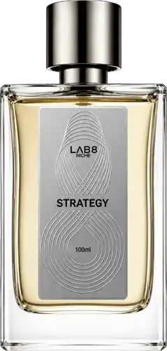 Abrir em tela cheia: Strategy LAB 8 Strategy LAB 8