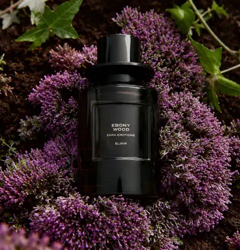 Abrir em tela cheia: Zara Ebony Wood Elixir - adicional Zara Ebony Wood Elixir - adicional