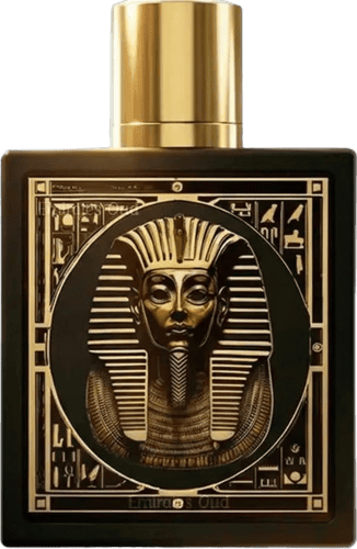 Abrir em tela cheia: Rayhaan Pharaoh Rayhaan Pharaoh